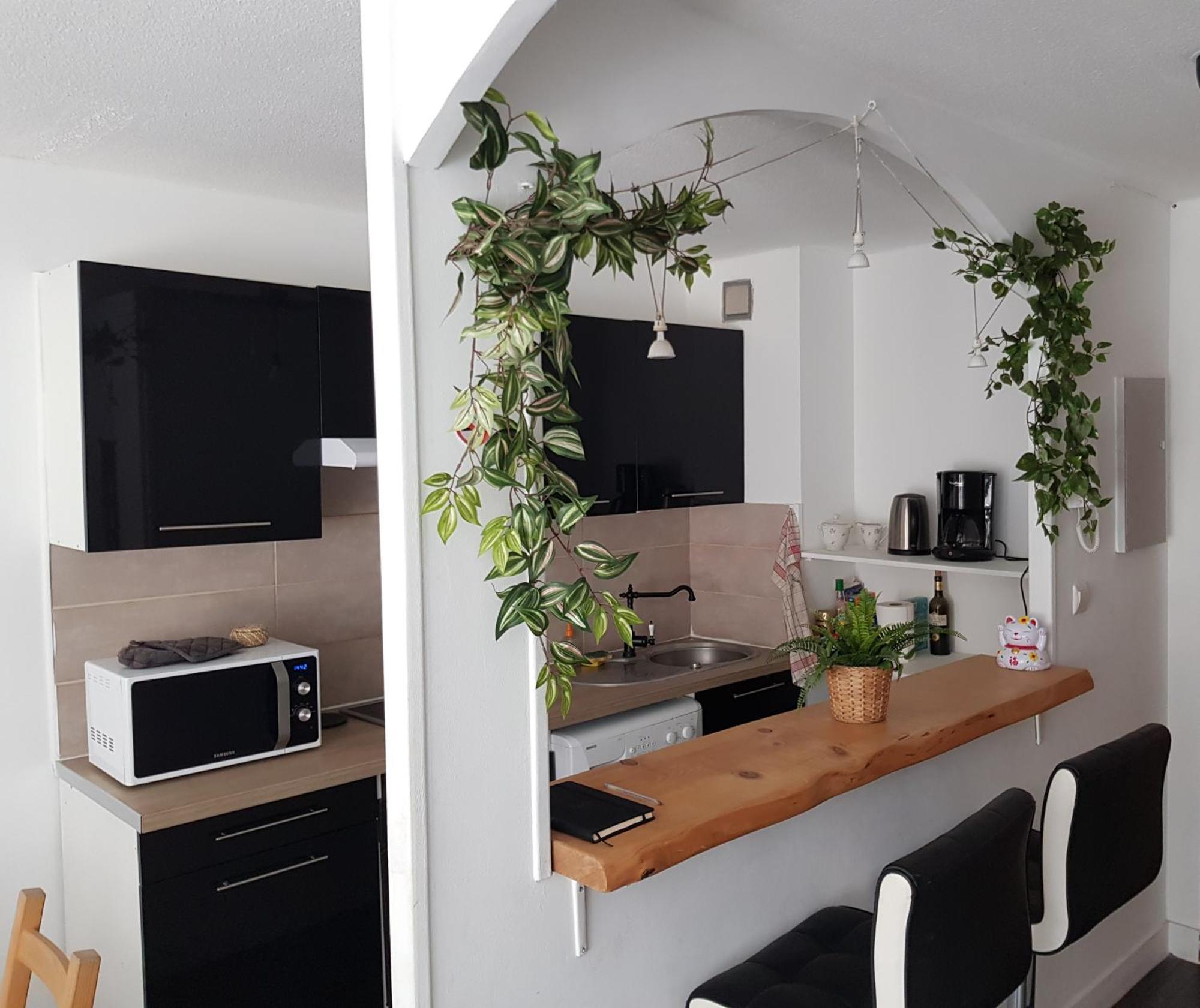 Le Petit Thai Appart 2 Pieces Zen Centre Ville Montpellier Zewnętrze zdjęcie